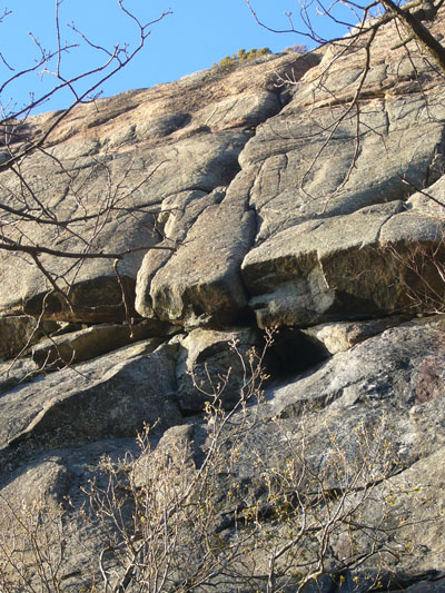 The roof